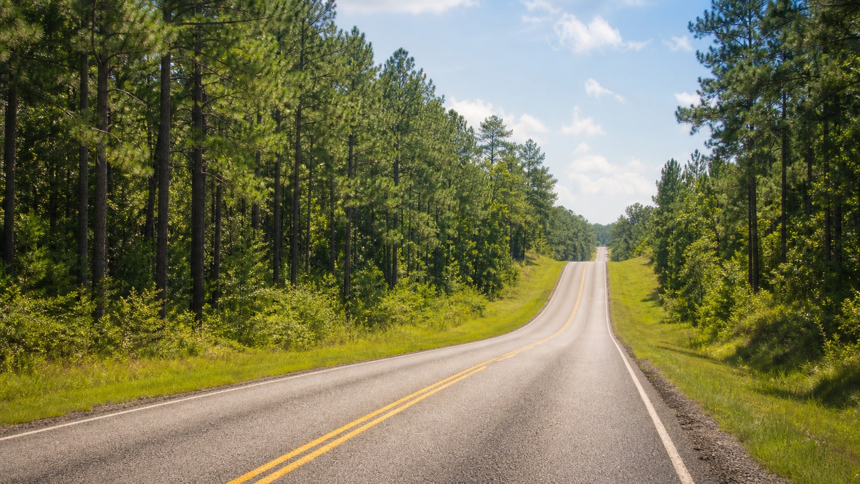Two-lane highway through the pine forests of southern Alabama on a sunny summer morning, route from Birmingham to Destin Florida