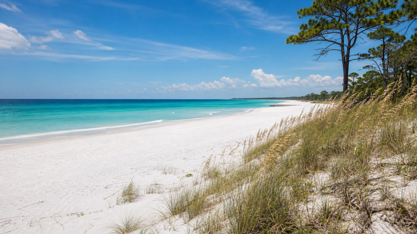 St. Andrews State Park in Panama City Beach Florida, pristine white sand beach, clear turquoise Gulf water, pine trees, empty uncrowded shoreline on a sunny summer day