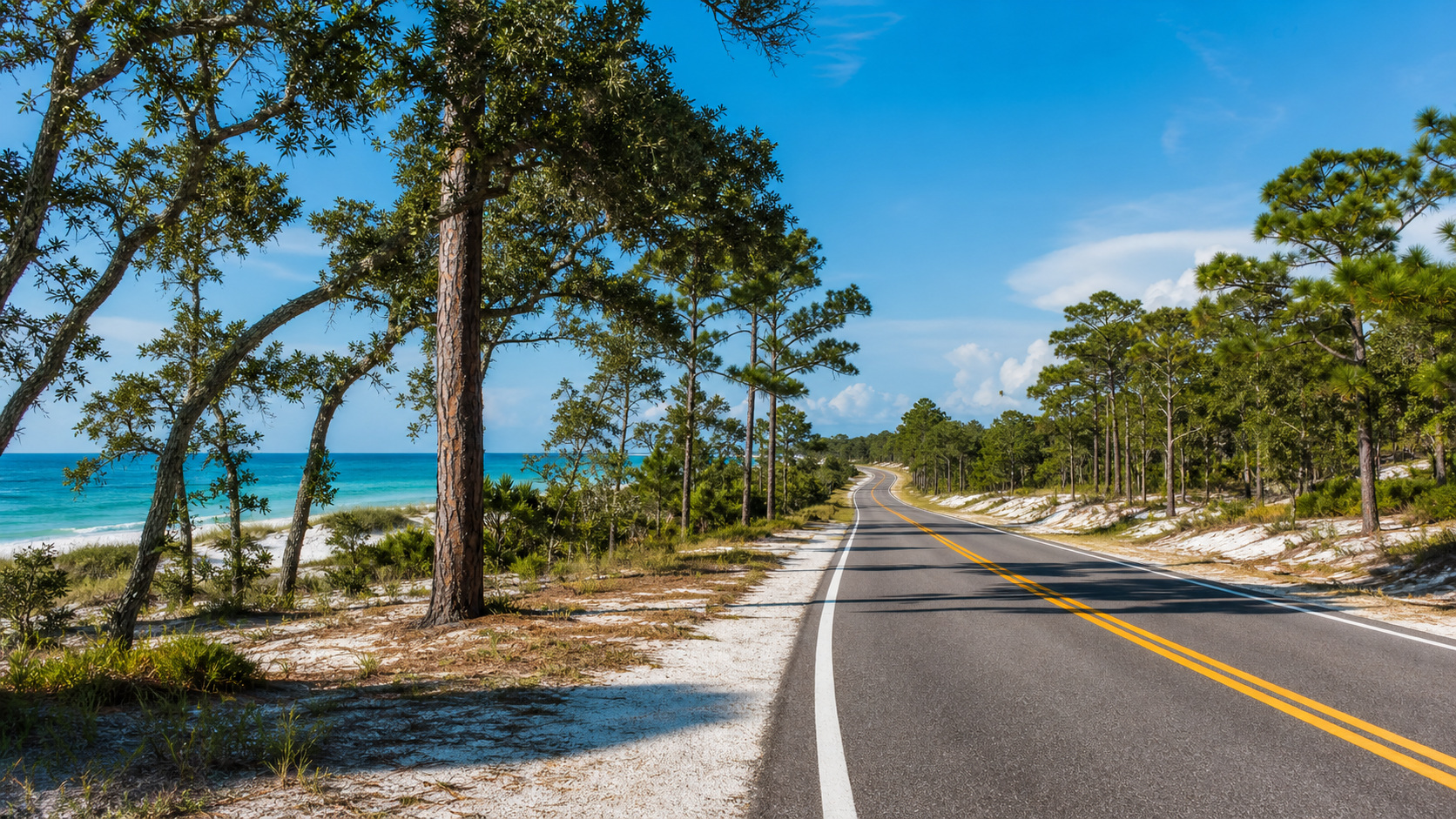 Two-lane coastal highway through the Florida Panhandle with turquoise Gulf water visible through the trees and white sand dunes on both sides